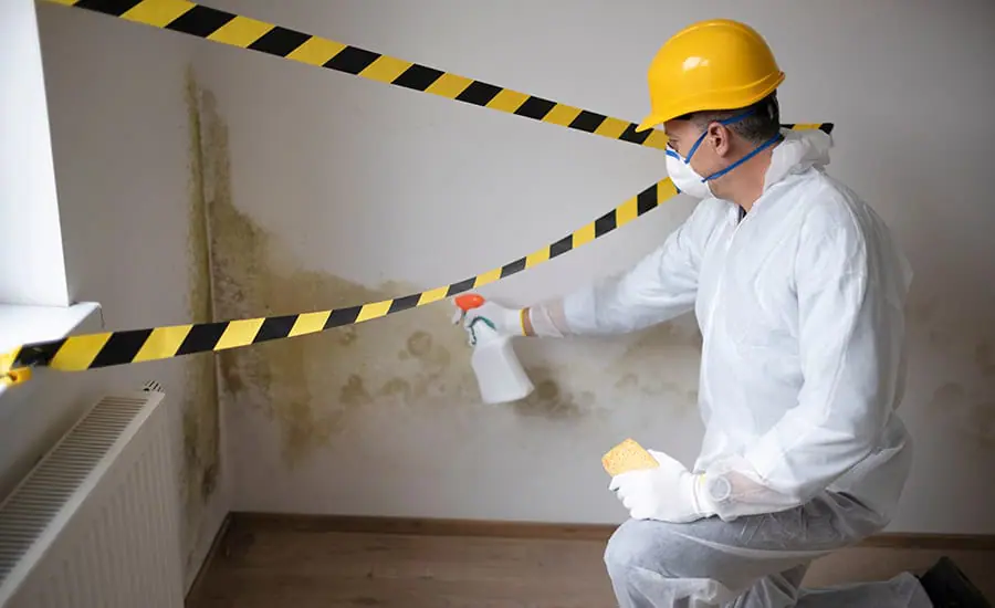 when-is-mold-remediation-required-protection.jpg